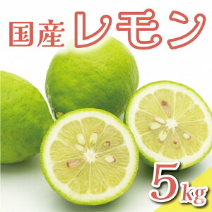 yӂ邳Ɣ[Łz ʌ s\ Iׂ  5kg 󂠂 7000~ ʏi 8000~ EG Y Q  Ԍ bNX h sgp L@͔| Yi t[c ʕ k lC 