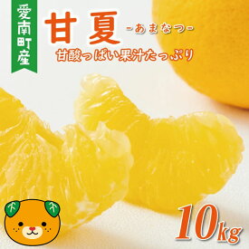 【ふるさと納税】 【高評価★4.67】 先行予約 選べる 規格 甘夏 10kg 訳あり 通常品 樹齢25年 以上 みかん 愛媛 ミカン mikan 蜜柑 わけあり あまなつ 夏みかん だいだい 国産 減農薬 期間限定 数量限定 人気 おいしい フルーツ 果物 柑橘 くらもとファーム 愛南町 愛媛県