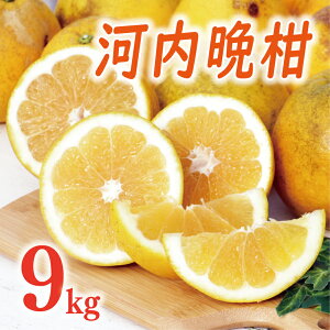 �y�ӂ邳�Ɣ[�Łz ���]�� ��4.68 ��s�\�� �I�ׂ� �K�i �͓��ӊ� ���� 20�N�ȏ� 9kg �󂠂� 9000�~ �ʏ�i 12000�~ �݂��� �킯���� ���킿�΂񂩂� ����S�[���h �����Ȃ� �S�[���h ���Y ���Y�i ��