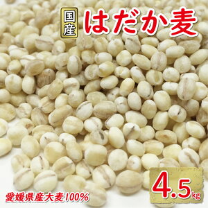 yӂ邳Ɣ[Łz ͂ 4.5kg 900g  5 10000~ Y 唞  ͂ ނ͂ n H@  _CGbg N }XX 쒬 Q