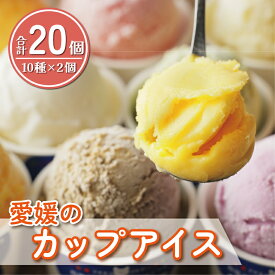 【ふるさと納税】 カップ アイス 20個 （ 10種 × 2個 ） 食べ比べ セット アイスクリーム デザート スイーツ 柑橘 みかん 不知火 ポンカン はるか 河内晩柑 愛南ゴールド 紅まどんな 牛乳 いちじく レモン キウイ いちご ジェラート ギフト 限定 愛南町 愛媛県 あいさと