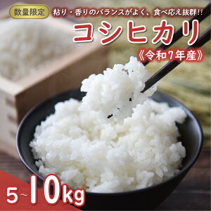 yӂ邳Ɣ[Łz Iׂ V ߘa7NY RVqJ 5kg 10kg 14000~ 24000~      Ԍ ʌ Yi ߘa7NxY 2025NY lC uh  S Â  