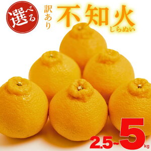 yӂ邳Ɣ[Łz s\ Iׂ e 󂠂 _ sm 2.5kg 5kg TCY ~bNX s k  ~J ƒp IW mikan Y ʕ t[c fU[g W[X ʎ ʏ` Â 
