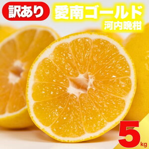 yӂ邳Ɣ[Łz s\ 󂠂 _ S[h ͓ӊ 5kg TCY ~bNX ƒp _ƒ s k ݂  a O[vt[c \t ʌ W[X [[ 