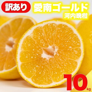 yӂ邳Ɣ[Łz s\ 󂠂 _ S[h ͓ӊ 10kg TCY ~bNX ƒp _ƒ s k ݂  a O[vt[c \t ʌ W[X [[ 