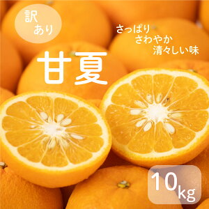 yӂ邳Ɣ[Łz s\ 󂠂 _ É 10kg 7000~ TCY~bNX s k  Q ݂ B ݂ ͓ӊ Y ʕ t[c fU[g W[X ʎ Â W[V[ 