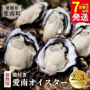 yӂ邳Ɣ[Łz Iׂe  ICX^[ 2kg 3kg 2025N7 {ȍ~ y Mp kt O{ ^y uh Yi  O 嗱 VN J  pX^ Aq[W
