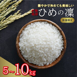 �y�ӂ邳�Ɣ[�Łz �I�ׂ� �V�� �ߘa7�N�Y �Ђ߂�� 5kg 10kg 13000�~ 24000�~ ���� ���� ���� �� ���� ���Ԍ��� ���ʌ��� ���Y�i �ߘa7�N�x�Y 2025�N�Y �l�C �u�����h �������� �Â� ��߂Ă� ������