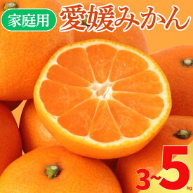 【ふるさと納税】 選べる 容量 訳あり 愛媛みかん 3kg 5kg サイズミックス ご家庭用 産地直送 農家直送 温州みかん 早生 中生 甘い 濃厚 フルーツ コク ジューシー 温州みかん うんしゅうみかん 薄皮 柑橘 果物 冬の味覚 こたつ みかん 人気 おすすめ 愛媛県 愛南町 愛なんよ