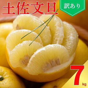 yӂ邳Ɣ[Łz 󂠂 y U 7kg TCY ~bNX ƒp  Yn _ƒ t[c ʕ k Ԃ񂽂 W[V[ {̖o u₩  vv H   T