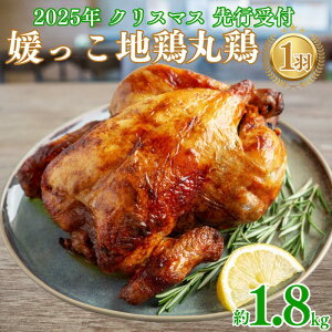 yӂ邳Ɣ[Łz 2025N NX}X s\ Qn{ ی{  1.8kg ܂邲 {   `L ނ˓  NX}X [Xg`L  Q 쒬 [JX^_[