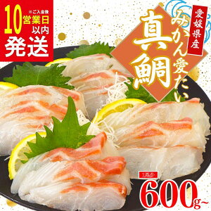 yӂ邳Ɣ[Łz ݂ ^ }_C 600g ȏ 12000~  pbN   ① Ȃ Ȃ  hg lC  CN VN N {B Y ^ Mtg v[g H ӂ邳Ɣ[