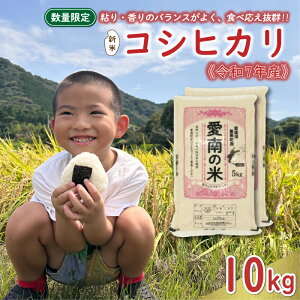 yӂ邳Ɣ[Łz Iׂe s\ V ߘa7NY RVqJ 5kg 10kg 13000~ 25000~      Ԍ ʌ Yi ߘa7NxY 2025NY lC uh  