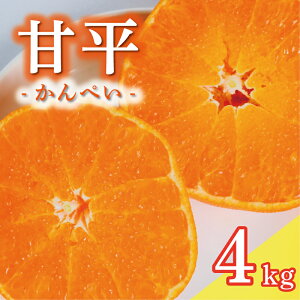 yӂ邳Ɣ[Łz ʌ s\ Õ 4kg 15000~ ؂  lC uh v~A Yn _ƒ Q ݂ mikan  ~J Y Ԍ Yi t[c ʕ k Â