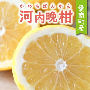 �y�ӂ邳�Ɣ[�Łz ���ʌ��� ��s�\�� ���� 25�N�ȏ� �͓��ӊ� �I�ׂ� �K�i ��� ���� ���� 4kg �` 10kg �݂��� mikan ���� �~�J�� ���킿�΂񂩂� ����S�[���h �����Ȃ� �S�[���h ���U �h�� �a�� 