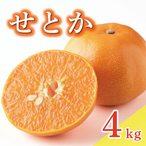 yӂ邳Ɣ[Łz ʌ s\ Ƃ 4kg 14000~ setoka  lC uh v~A Yn _ƒ Q ݂ mikan  ~J Y Ԍ Yi t[c ʕ k Â 