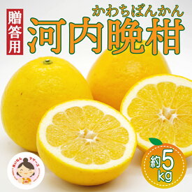 【ふるさと納税】 【 先行予約 】 あいなんマザーズ の 河内晩柑 5kg （発送期間：4月中旬～7月上旬） 贈答用 正品 減農薬 先行 事前 予約 受付 みかん かわちばんかん 愛南ゴールド 愛媛 産地直送 国産 農家直送 期間 数量 特産品 人気 贈答 限定 愛南 フルーツ 果物 柑橘