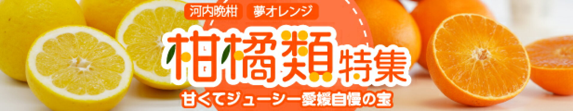 みかん 愛南ゴールド 柑橘類 特集