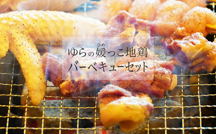 楽天市場 ふるさと納税 地鶏 由良 媛っこ地鶏 1 5kg q バーベキュー セット 鶏 軍鶏 名古屋 種 プリマスロック 四元交配 いいとこどり 歯ごたえ 脂のり すき焼き 新鮮 捌いた その日に 発送 産地 直送 産直 美味しい 愛媛県愛南町
