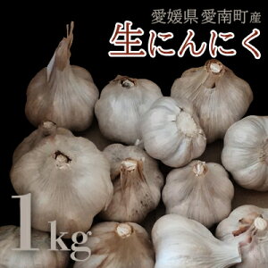 yӂ邳Ɣ[Łz ΐt@[ 쒬Y  ɂɂ 1kg : 520`1130