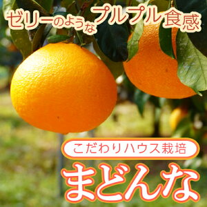 yӂ邳Ɣ[Łz ʌ s\ Iׂ Ki ܂ǂ 3kg 5kg 󂠂 ʏi 킯 ݂ mikan  ~J Y 28 g܂ǂ i  ACJ  lC uh k 