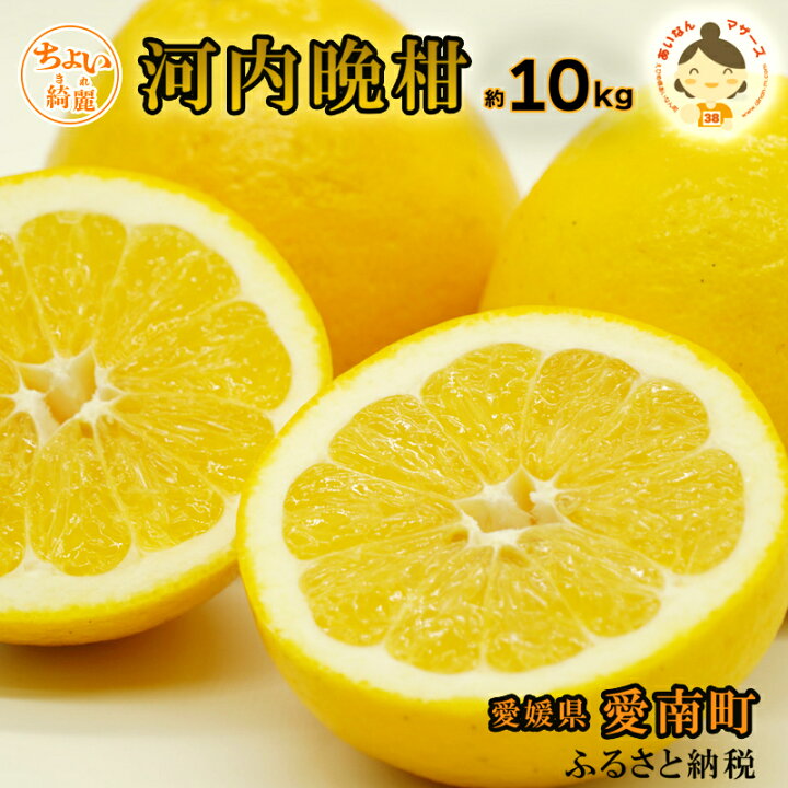 楽天市場 ふるさと納税 ちょいキレ あいなんマザーズ 河内晩柑 10kg 晩柑 かわちばんかん 送料無料 和製 グレープフルーツ 愛媛県産 果物 柑橘 フルーツ 愛南町 特産品 お取り寄せ デザート 愛媛みかん みかん 希少 日本一 お届け 4月中旬 8月上旬 愛媛県愛南町