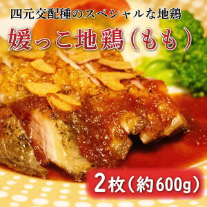 yӂ邳Ɣ[Łz ʌ ō uh Qn{  600g