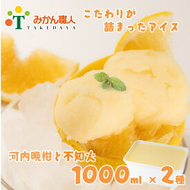 【ふるさと納税】 アイス 柑橘 不知火 しらぬい 河内晩柑 1000ml 2種 ギフト 詰め合わせ 有名 みかん職人 武田屋 お取り寄せ 贈り物 贈答品 氷菓 シャーベット ソルベ 美味しい フルーツ 果汁 ご当地 内祝い