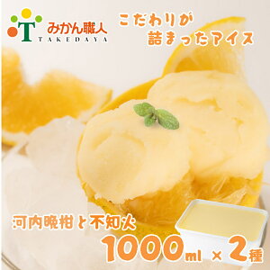 yӂ邳Ɣ[Łz ACX k sm ʂ ͓ӊ 1000ml 2 Mtg lߍ킹 L ݂El c  蕨 i X V[xbg \x  t[c ʏ` 