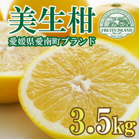 【ふるさと納税】 先行予約 美生柑 みしょうかん 約 3.5kg 贈答 ギフト 正規品 河内晩柑 ばんかん フルーツ 果物 くだもの 文旦 晩生柑 厳選 愛媛 みかん 蜜柑 愛南 ご当地 ブランド 母の日 (なくなり次第終了) 発送期間：2024年3月1日〜5月下旬