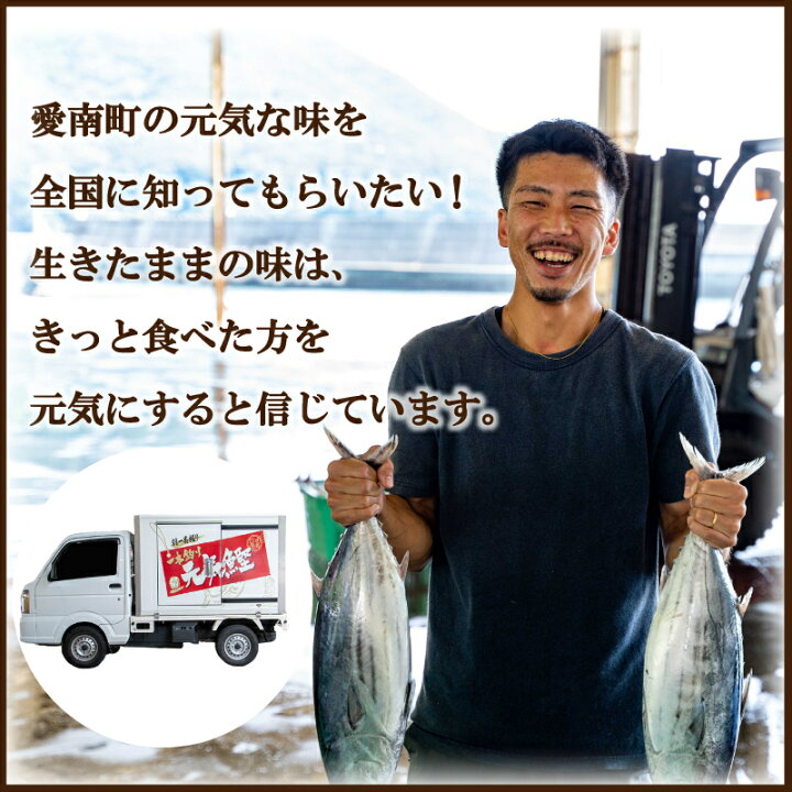 楽天市場 ふるさと納税 定期便 6回 刺身 鮮魚 冷凍 真空 パック 旬 かつお タイ ブリ スマ シマアジ カンパチ お楽しみ 高級魚 鰤 鰹 鯛 縞鯵 勘八 新鮮 天然 養殖 愛南町 愛媛県 愛媛県愛南町