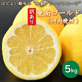 【ふるさと納税】 先行予約 訳あり 河内晩柑 5kg かわちばんかん サイズ ミックス 混合 不揃い 柑橘 愛南ゴールド 和製 グレープフルーツ みかん 蜜柑 愛南フルーツ 愛媛県 愛南町 発送期間: 2024年4月20日〜5月20日 (なくなり次第終了)