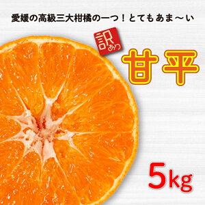 yӂ邳Ɣ[Łz s\ 󂠂 Õ5kg ݂  mikan Õ |J  lC uh k ʕ t[c Â   ʌ Yn _ƒ Y Yi R_