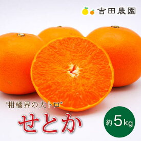 【ふるさと納税】 先行予約 数量限定 せとか 5kg 柑橘 フルーツ 高級 みかん 蜜柑 オレンジ 清見 きよみ 甘い サイズミックス 大きさ 不揃い 吉田農園 愛媛県 愛南町 発送期間：2024年3月中旬～4月15日(なくなり次第終了)