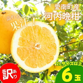 訳あり 愛南ゴールド 2Lサイズ以上 6玉 (約3.5kg) 大玉 5000円 柑橘 フルーツ みかん 河内晩柑 文旦 かわちばんかん わけあり 傷 きず 規格外 不揃い 大樹農園 愛媛県 愛南町 発送期間：4月1日～7月中旬 (なくなり次第終了)