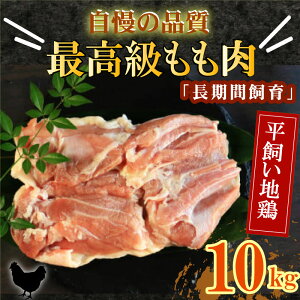yӂ邳Ɣ[Łz n{ Q Qn{  10kg {   `L ނ ē Ă BBQ Ⓚ Y  ^pN ᎉb  g `L T_`L X[v o` 쒬 