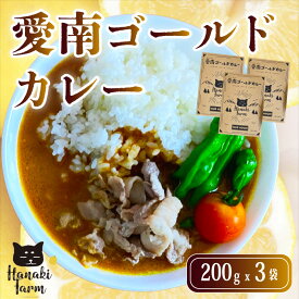 【ふるさと納税】 愛南ゴールドカレー 3食 カレー 河内晩柑 愛南ゴールド ごはん スパイス 香辛料 にんじん じゃがいも 玉ねぎ 米 牛肉 豚肉 鳥肉 愛媛 愛南町 はなき農園