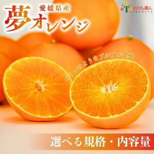 yӂ邳Ɣ[Łz]4.43 Iׂ IW 1kg 2kg 3kg 5kg 󂠂  Ii p IW k v[g ʕ   Q 񂫂 ӂ邳Ɣ[ ܂ǂ 28 ݂