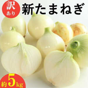 yӂ邳Ɣ[Łz 󂠂 V܂˂ 5kg VNIjI  T_ ʂ˂ ܂˂ V X[v J[ TCY~bNX 召  Y IjI 퉷  Q 쒬ʎs :