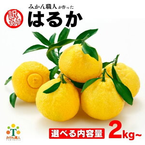 yӂ邳Ɣ[ŁzIׂe st 󂠂 ͂邩 2kg 5kg 7kg y 1{`z ȂȂ莟I k 񂫂 Ԍ ݂  ~  s ݂Elc