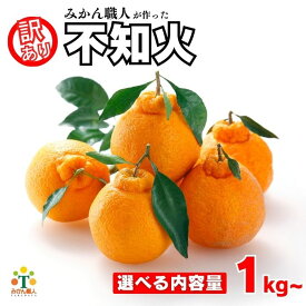 【ふるさと納税】 選べる内容量 先行受付 訳あり 不知火 1kg 3kg 5kg 【発送期間：2025年2月上旬〜なくなり次第終了 】 しらぬい かんきつ 柑橘 みかん 蜜柑 でこぽん おやつ きず 傷 ふぞろい 不揃いフルーツ 果物 くだもの 果実 愛媛県 愛南町 みかん職人武田屋