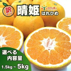 【ふるさと納税】 訳あり 晴姫 はれひめ 1.5kg 3kg 5kg かんきつ 柑橘 ふるさと納税 みかん ふるさと納税 訳あり 傷 規格外 柑橘 果物 フルーツ 愛媛県 愛南町 ) みかん職人武田屋