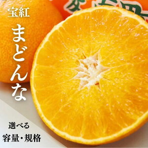 yӂ邳Ɣ[Łz ys\z Iׂ e Ki 󂠂 p g܂ǂ 1.5kg 800g TCY~bNX  _ ʕ k ݂ 28 lC t[c  }hi A g}hi 