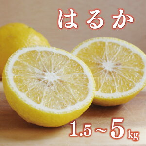 yӂ邳Ɣ[Łz ʌ s\ Iׂ Ki ͂邩 1.5kg 3kg 5kg 󂠂 5000~ 9000~ ʏi 7000~ 12000~ ݂ mikan  ~J Y Ԍ Yi t[c ʕ k 킯 lC 