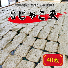 【ふるさと納税】 山田のじゃこ天 40枚 じゃこ天 すり身 さつま揚げ 郷土料理 おつまみ 肴 魚肉練り製品 揚げかまぼこ 愛媛県 南予 愛南町 特産品 お取り寄せ 送料無料 おいしい