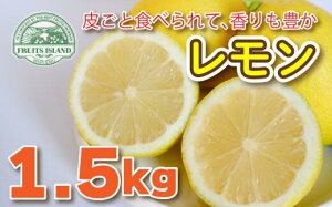 yӂ邳Ɣ[Łz ys\ 10{`\z   1.5kg 12 7000~ EG t[c ʕ  k Y VN _ mbNX h sgp r^~C e  N 炲