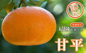 yӂ邳Ɣ[Łz s\ 󂠂 ̊Õ 4kg ݂  k Õ Ƃ |J ܂ǂ IW  uh lC ʕ t[c Â x W[X [[ r^~ e 