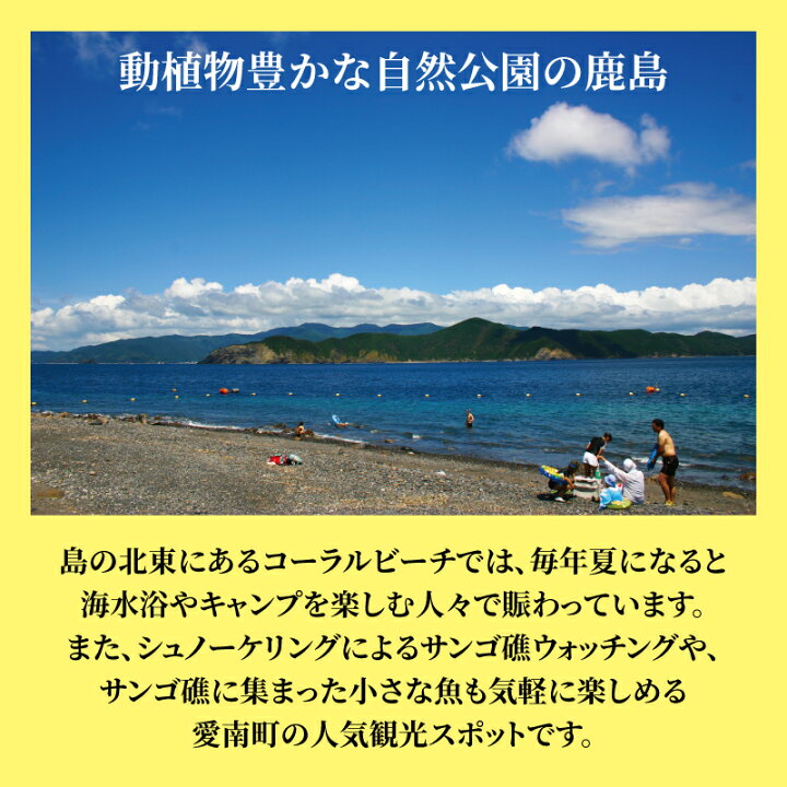 楽天市場】【ふるさと納税】 【高評価☆4.69】訳あり 愛南ゴールド 