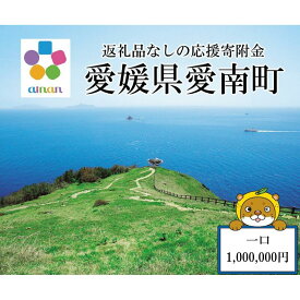 【ふるさと納税】 応援寄附金 （返礼品なし） 1,000,000円 ふるさと応援寄附金 返礼品なし 寄附のみ 寄附金 応援 地域支援 人気 ランキング おすすめ 愛媛 愛媛県 愛南 愛南町 【愛媛県愛南町】