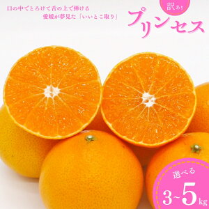 �y�ӂ邳�Ɣ[�Łz ��s�\�� �󂠂� �v�����Z�X ����48�� 5kg 3kg �݂��� ���Q�� �� �V�i�� ���� �l�C �u�����h ���k �ʕ� �t���[�c �T�C�Y�~�b�N�X �Â� �������� ������ �Y�n���� �_�ƒ��� 